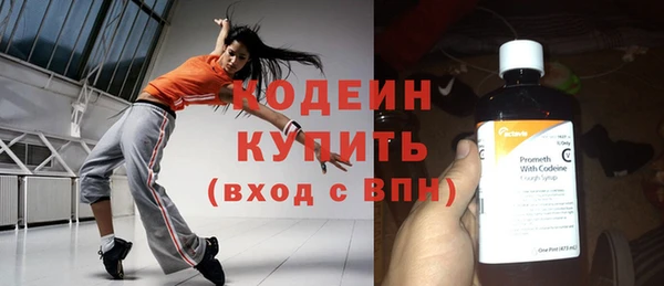 стаф Кодинск