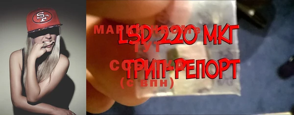 ПСИЛОЦИБИНОВЫЕ ГРИБЫ Абинск