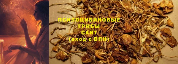 ПСИЛОЦИБИНОВЫЕ ГРИБЫ Абинск