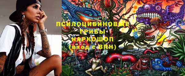 ПСИЛОЦИБИНОВЫЕ ГРИБЫ Абинск