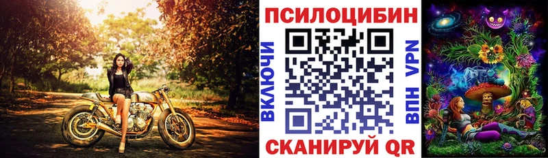 Псилоцибиновые грибы Psilocybine cubensis  Сочи 
