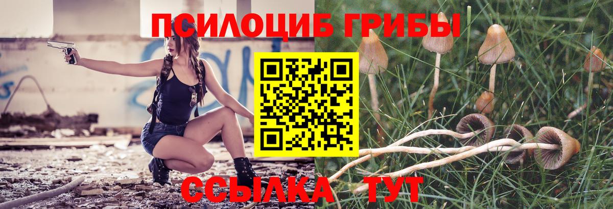 Псилоцибиновые грибы мицелий  Псилоцибиновые грибы MAGIC MUSHROOMS  Вход с VPN  Сочи 